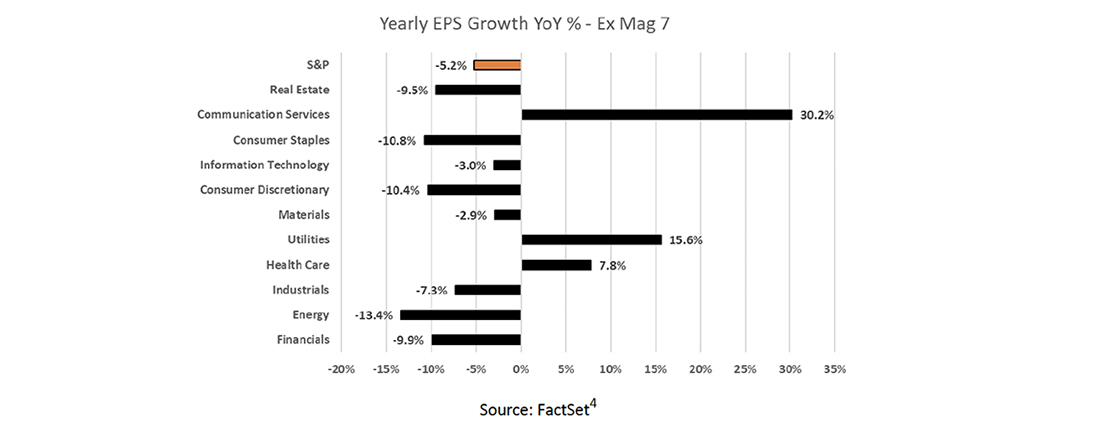 Yearly EPS Growth YoY % - Ex Mag 7